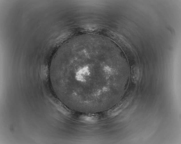 X0000110890563200906181248