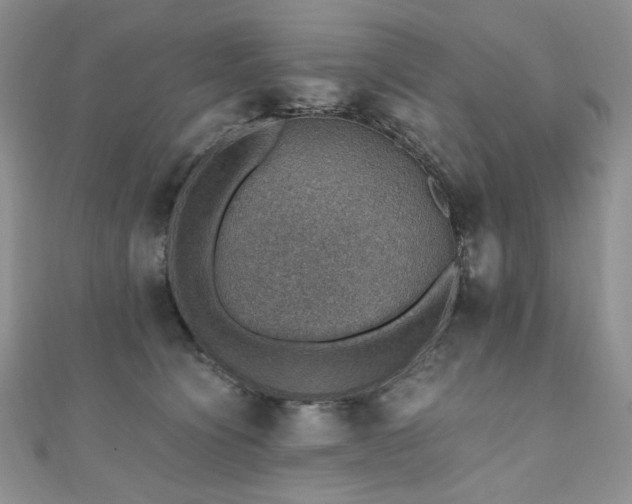 X0000110890564200906181248