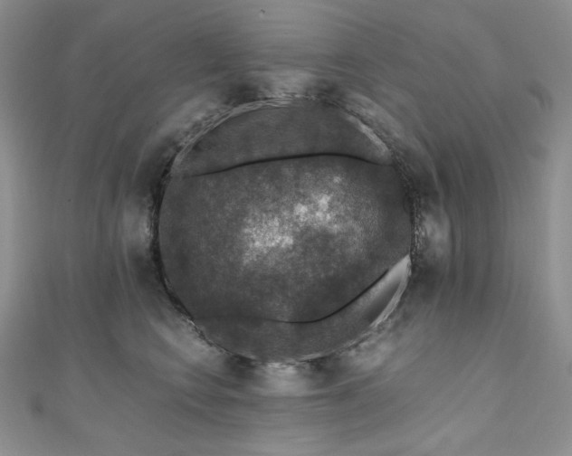 X0000110890566200906181248