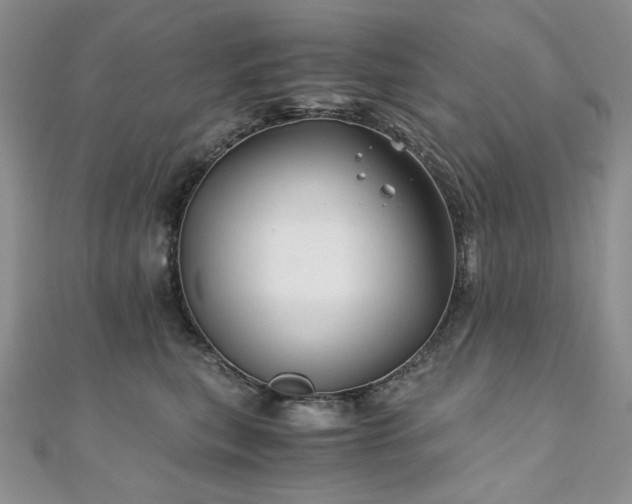 X0000110890567200906181248