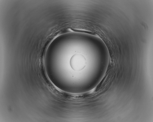 X0000110890568200906181248