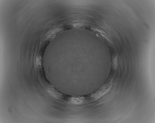 X0000110890571200906181248
