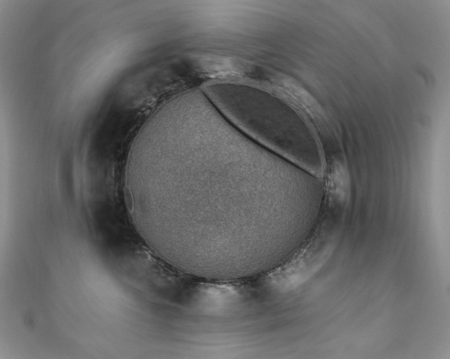 X0000110890572200906181248