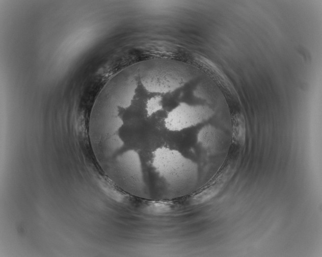 X0000110890573200906181248