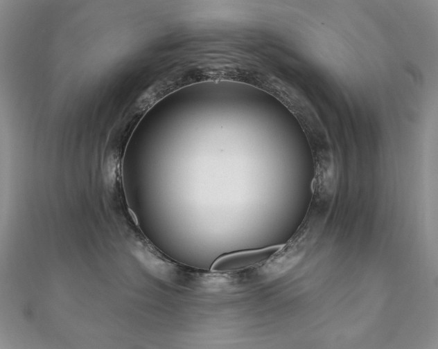 X0000110890574200906181248