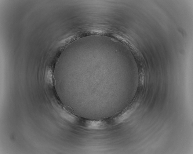 X0000110890575200906181248