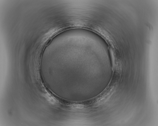 X0000110890577200906181248