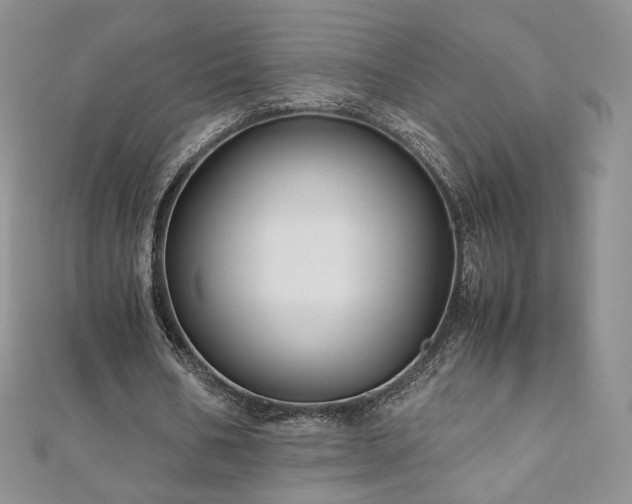 X0000110890578200906181248