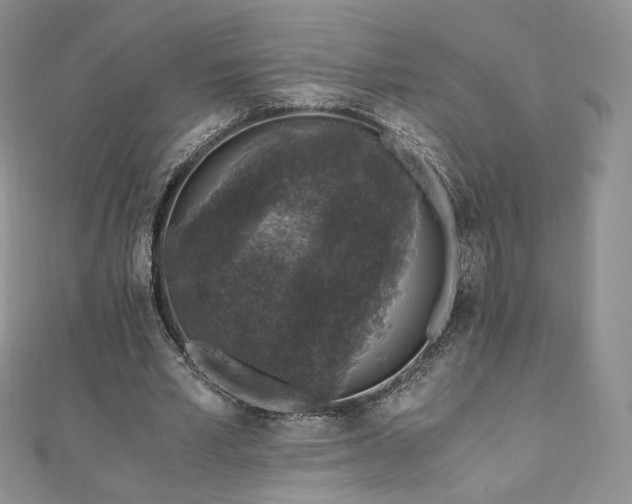X0000110890581200906181247