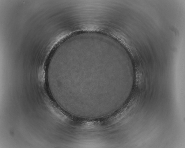 X0000110890584200906181247