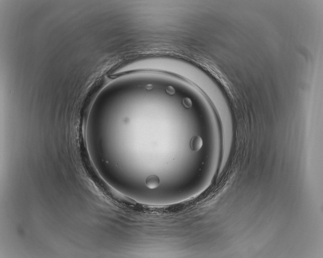 X0000110890585200906181247