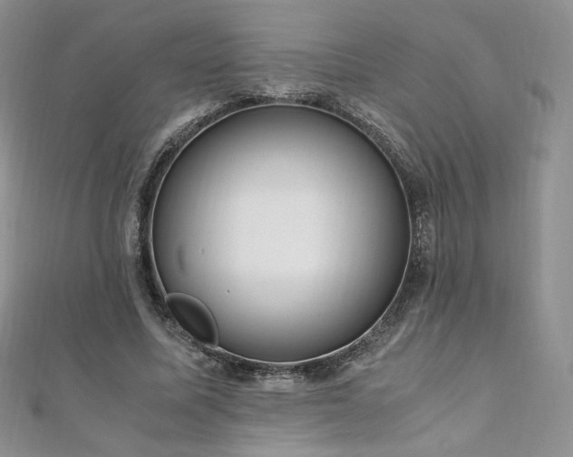 X0000110890587200906181247
