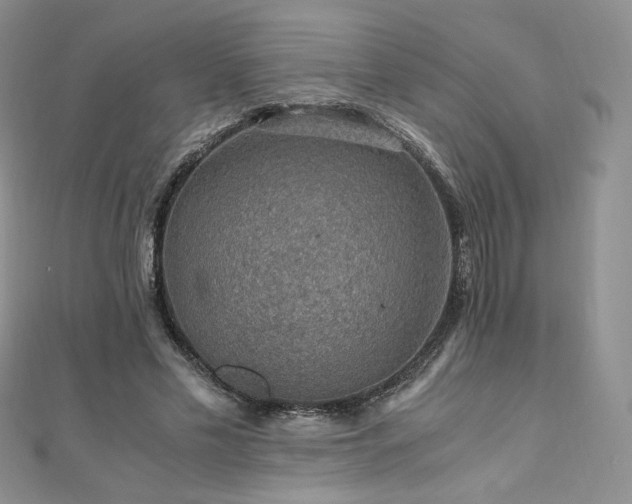 X0000110890589200906181247