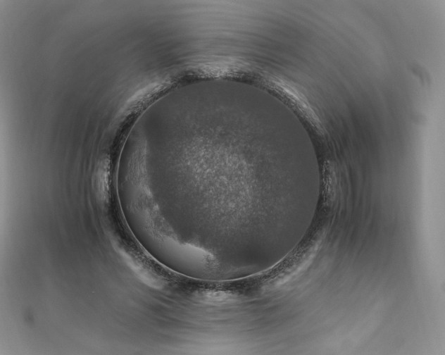 X0000110890590200906181247