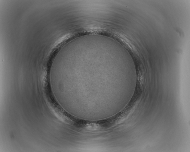 X0000110890591200906181247