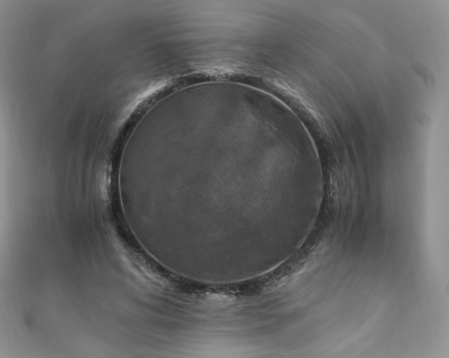 X0000110890592200906181247