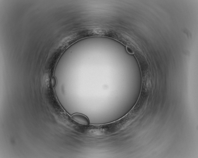 X0000110890595200906181247