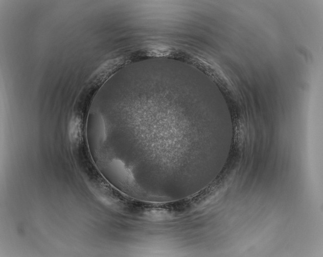 X0000110890598200906181247