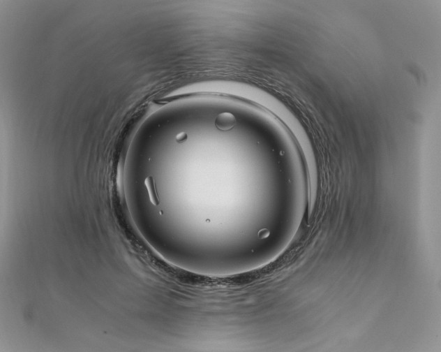 X0000110890599200906181247
