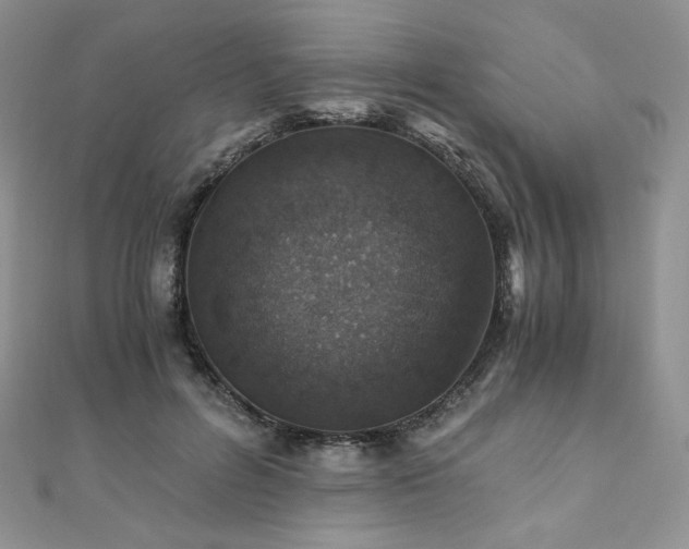 X0000110890600200906181247