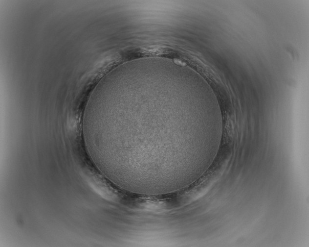 X0000110890601200906181247