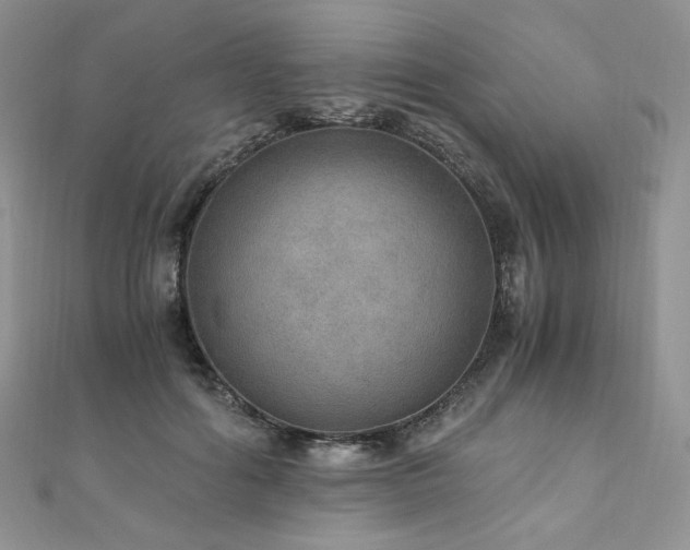 X0000110890602200906181247