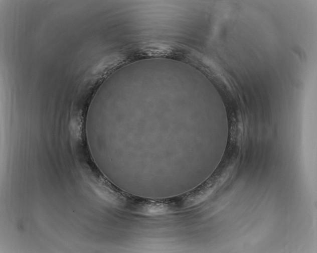 X0000110890604200906181247