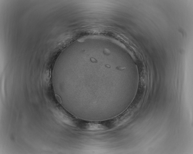 X0000110890605200906181247