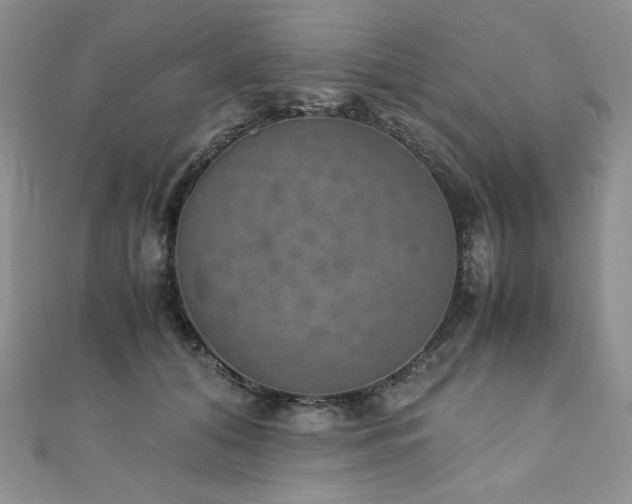 X0000110890608200906181247