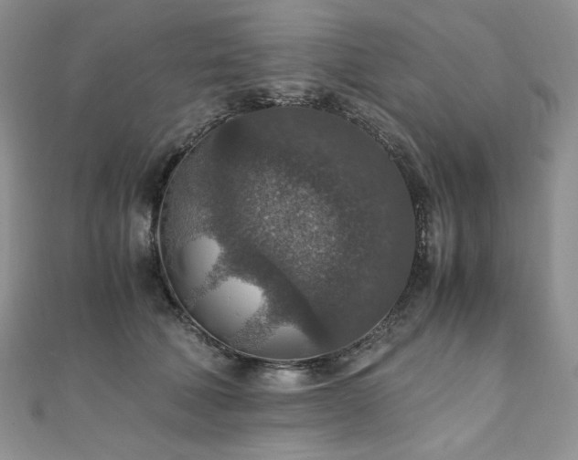 X0000110890610200906181247