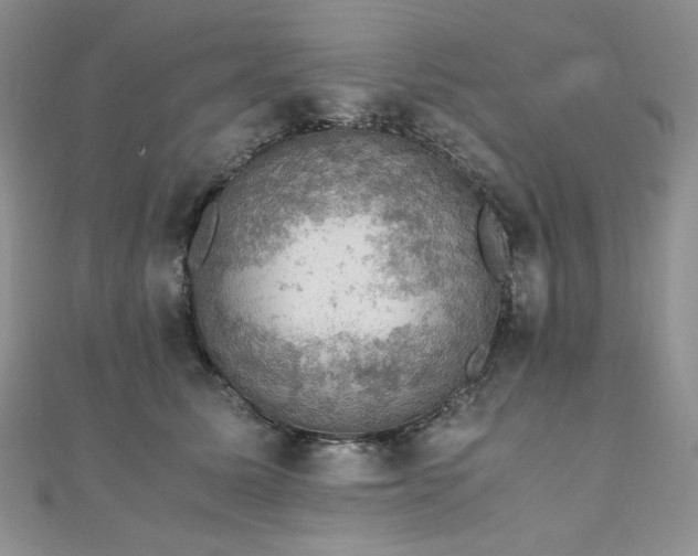 X0000110890611200906181247