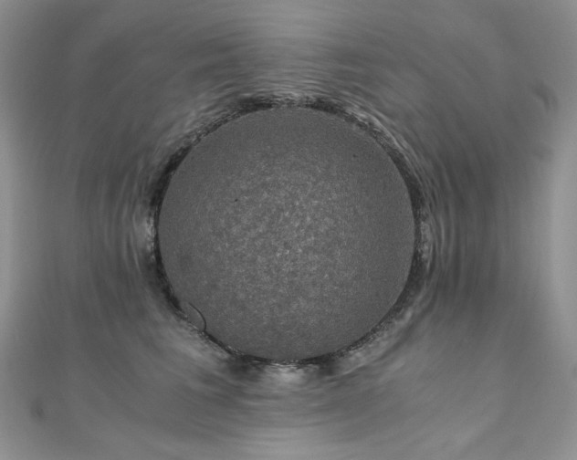 X0000110890613200906181247