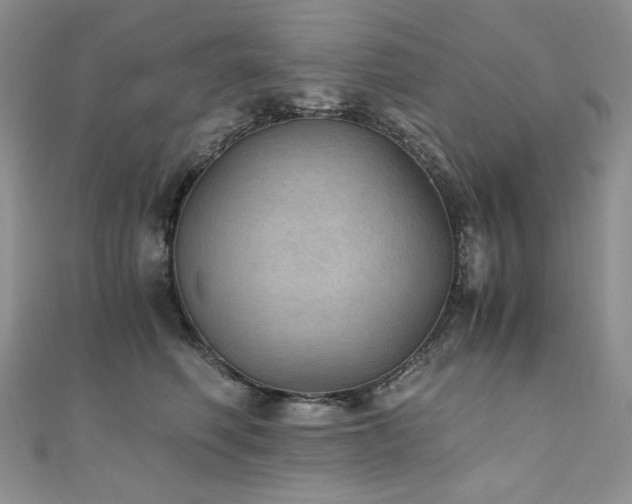 X0000110890614200906181247