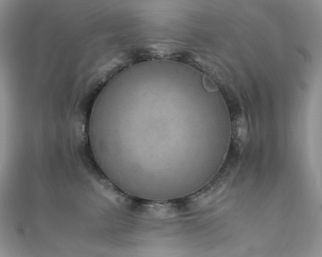 X0000110890615200906181247