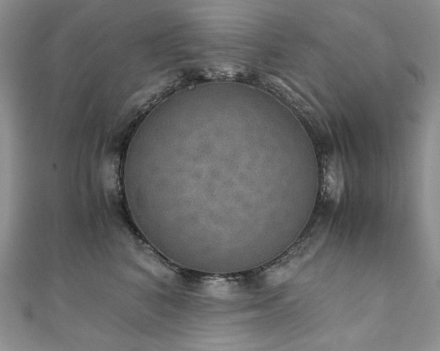 X0000110890616200906181247