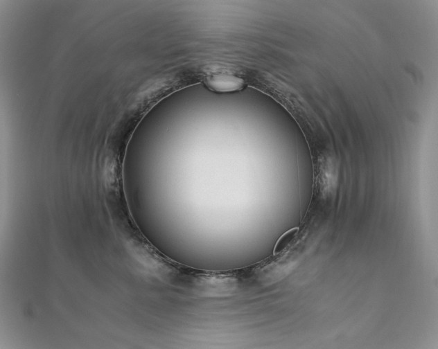X0000110890619200906181247