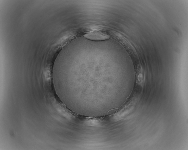 X0000110890620200906181247