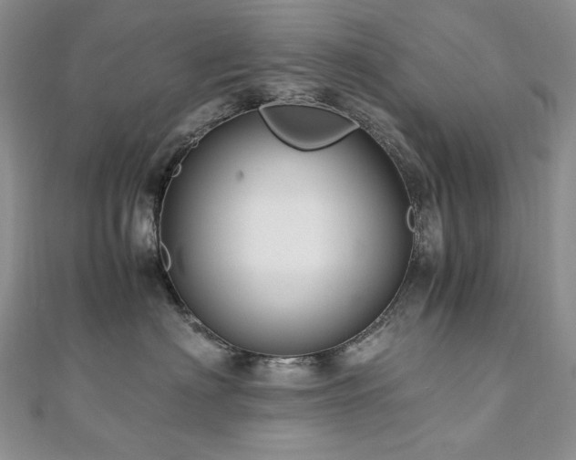 X0000110890622200906181247