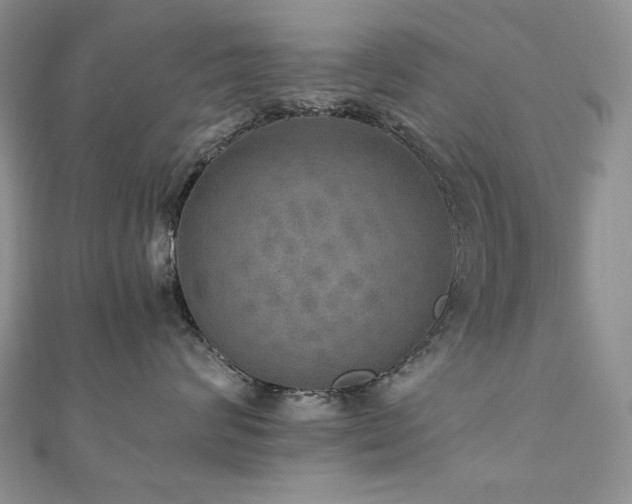 X0000110890624200906181247