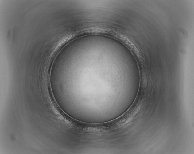 X0000110890625200906181246