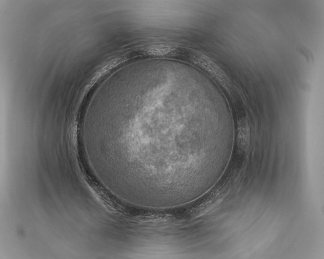 X0000110890626200906181246