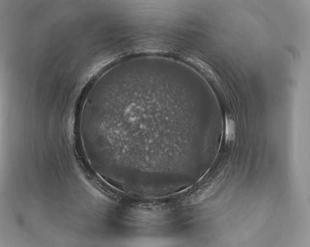 X0000110890627200906181246