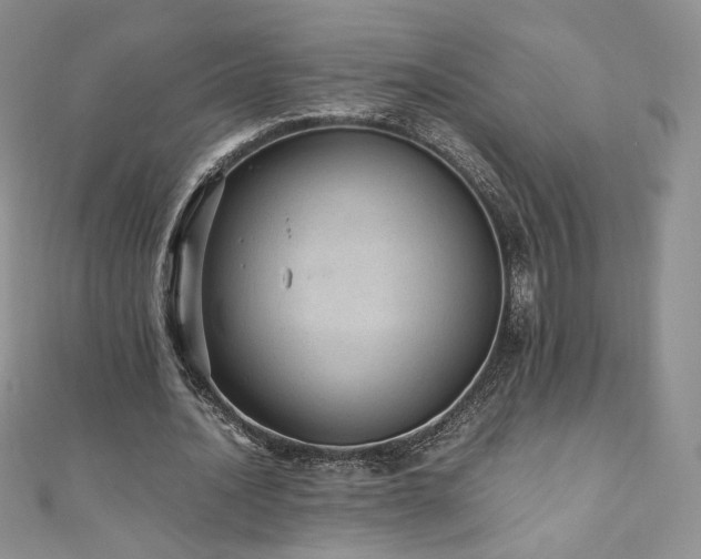 X0000110890628200906181246