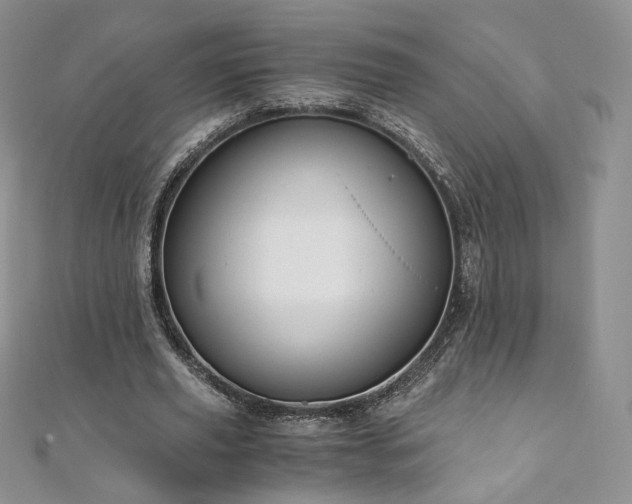 X0000110890629200906181246