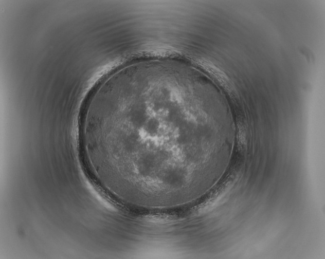X0000110890630200906181246