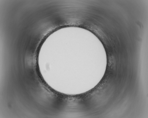 X0000110890632200906181246