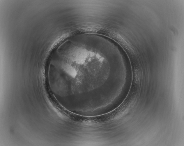 X0000110890634200906181246