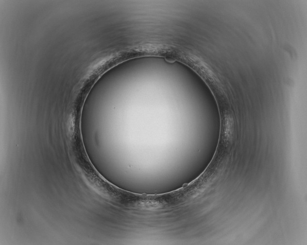 X0000110890636200906181246