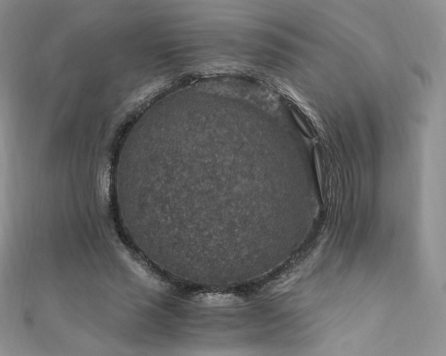X0000110890637200906181246