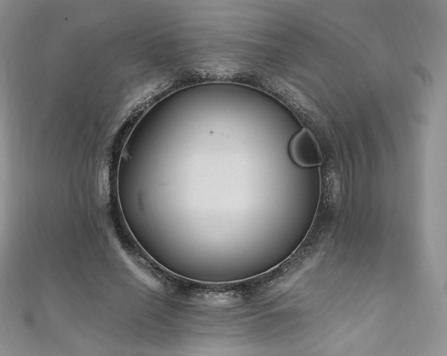 X0000110890638200906181246